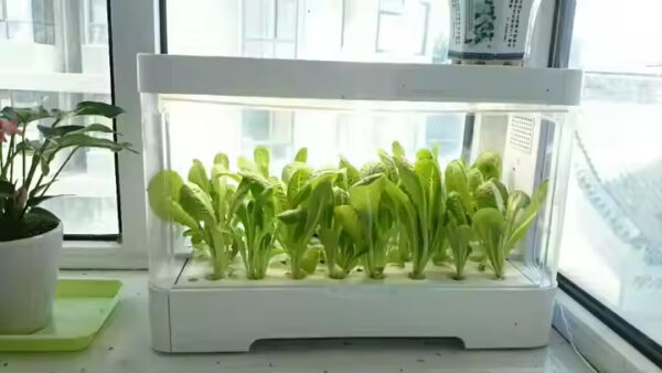 GrowCube™ - Smart Hydroponic System: Bringing Nature Into Your Home - Image 2