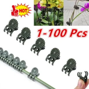 1-100 PCS Plant Clips Vine Clamp Plant Support For Grafting Tomato Butterfly Orchid Flowers Clip Garden Accessories Tools